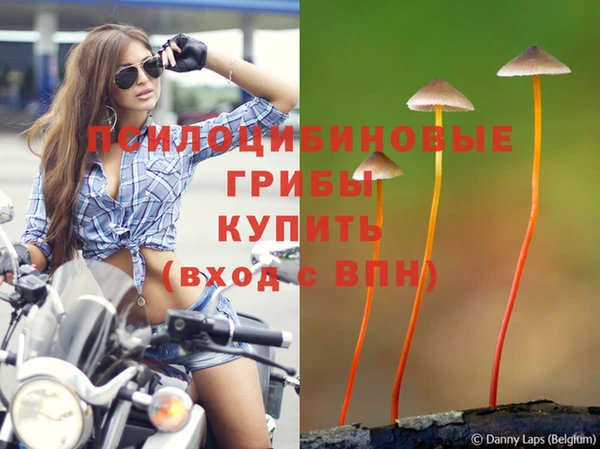 гашишное масло Баксан