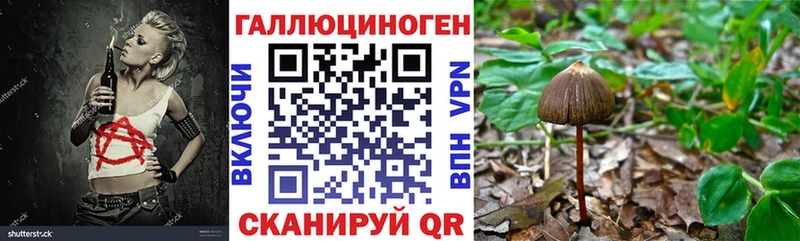 Галлюциногенные грибы прущие грибы  наркота  Губаха 